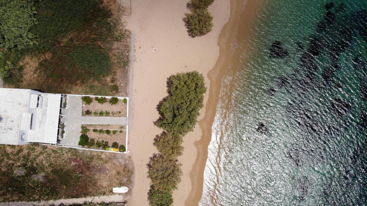 Galazio Seaside Apartments Livadakia المظهر الخارجي الصورة